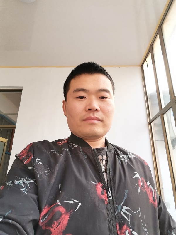 会飞的猪的第一张照片--华安相亲网