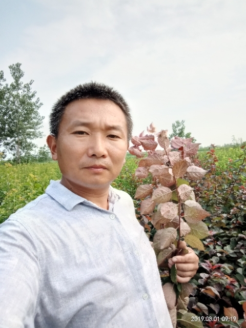 孩子爸的第二张照片--华安相亲网