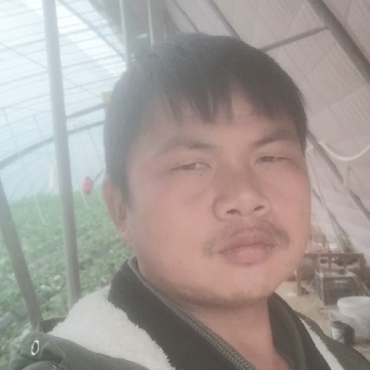 孤狼‘的第一张照片--华安相亲网