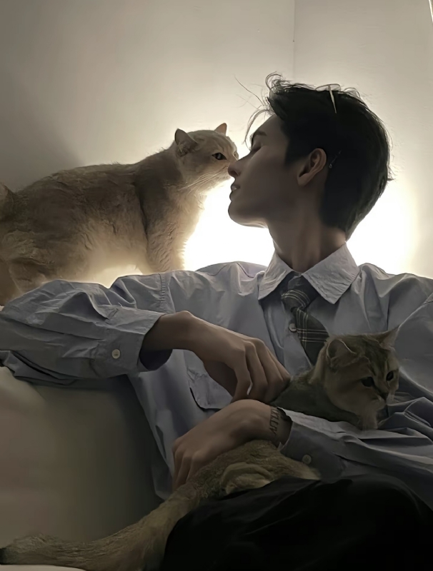 怪猫的第一张照片--华安相亲网